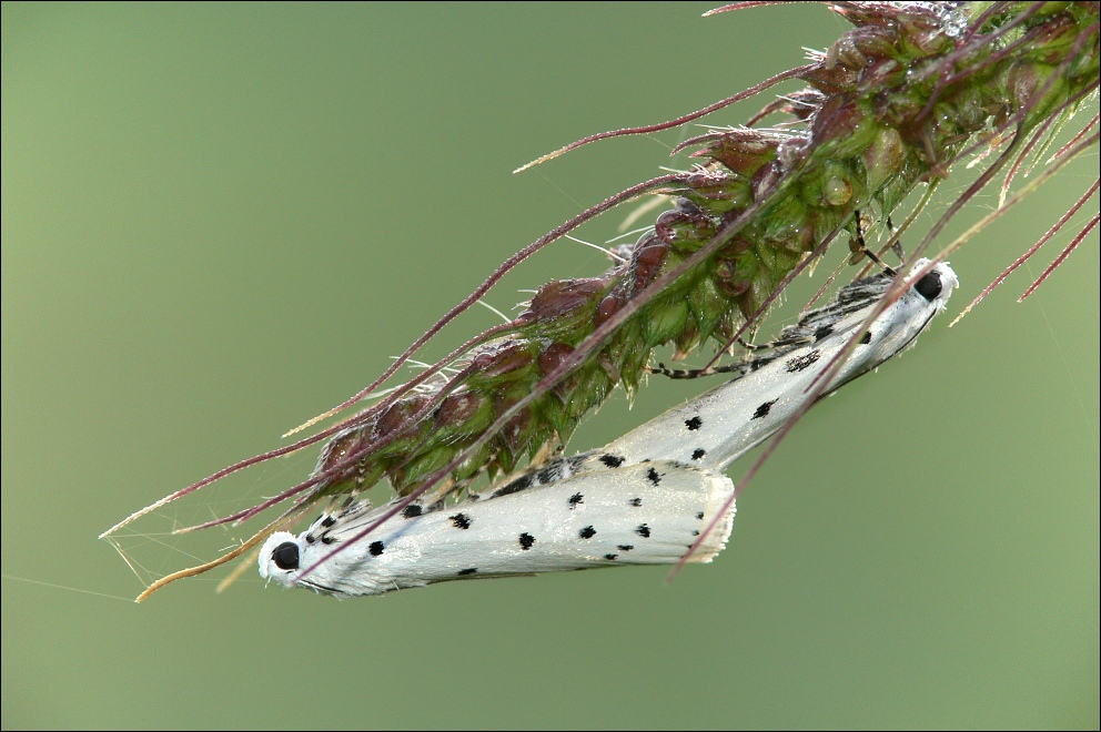 P1200538