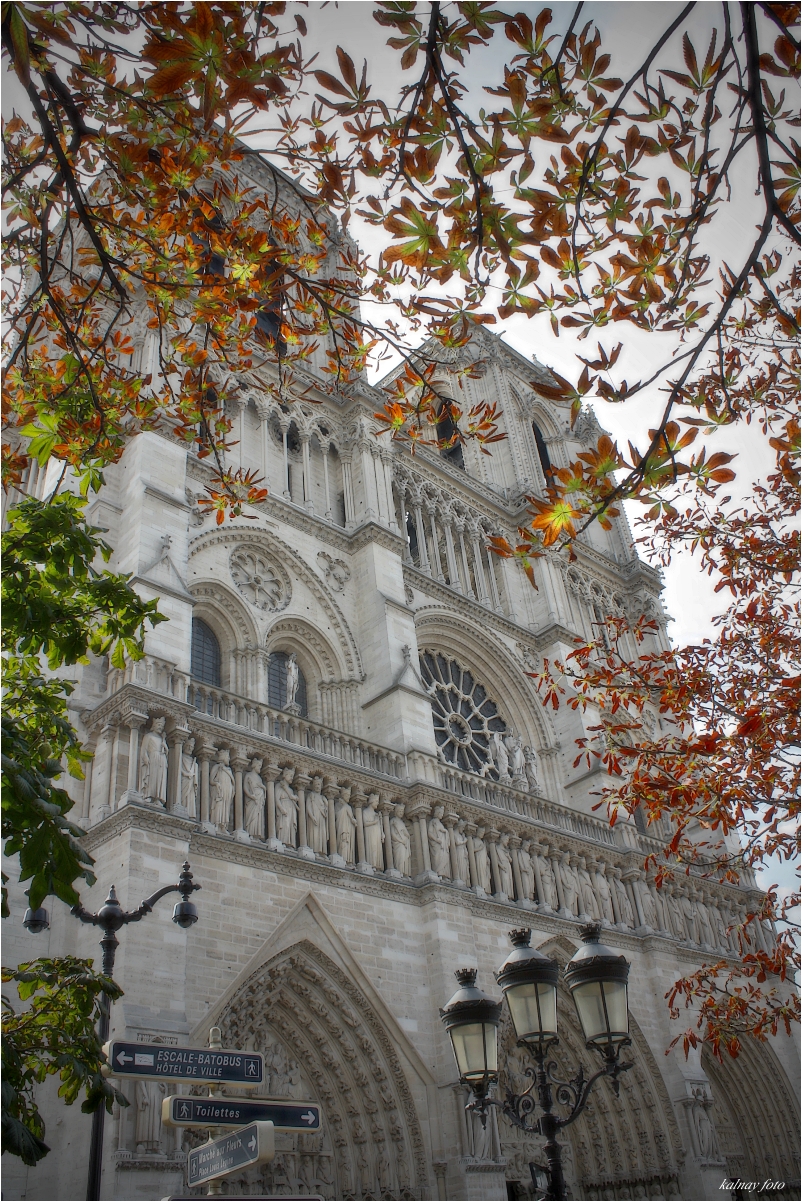 Notre dame