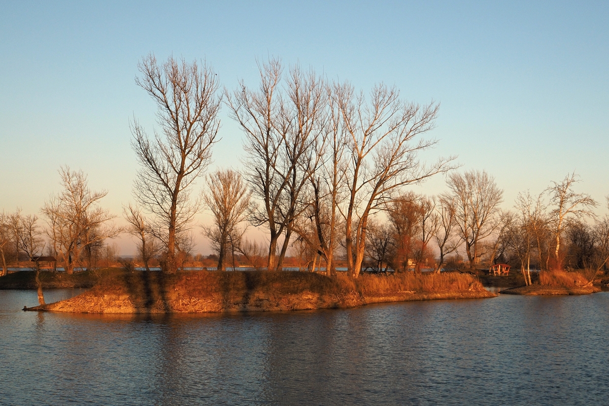 zlatá hodina