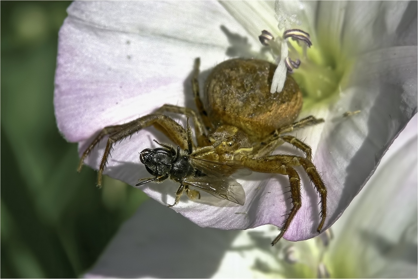 P1250172