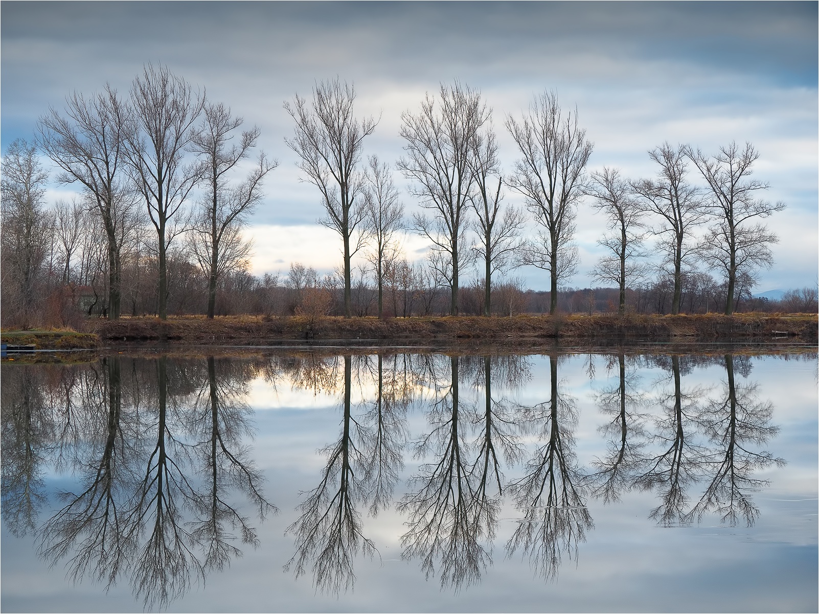 reflection