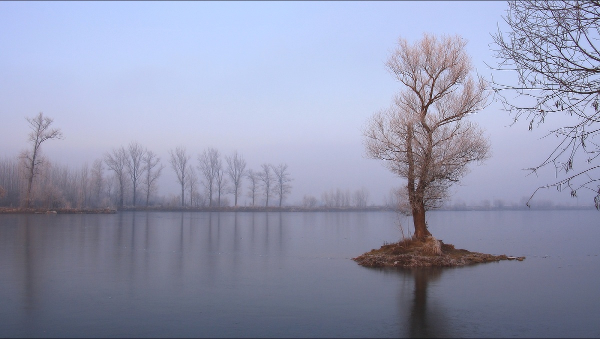 Small Island