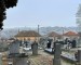 Cold cemetery